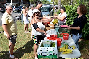 Farmer's Market