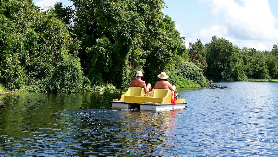 Pedal Boats