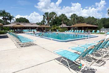 East Pool at Cypress Cove Nudist Resort