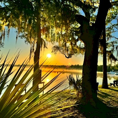 Interactive Resort Map Cypress Cove Nudist Resort interactive-resort-map-cypress-cove-nudist-resort